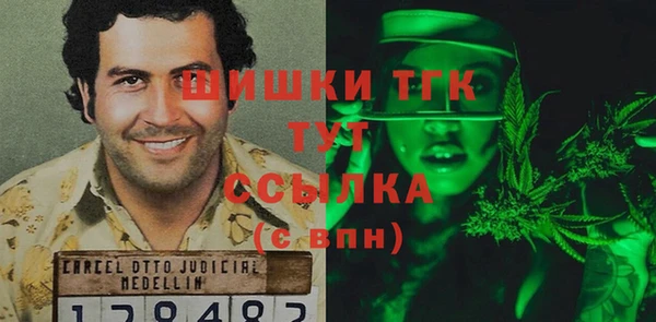 мдпв Бикин