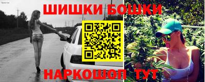 дмт Гатчина