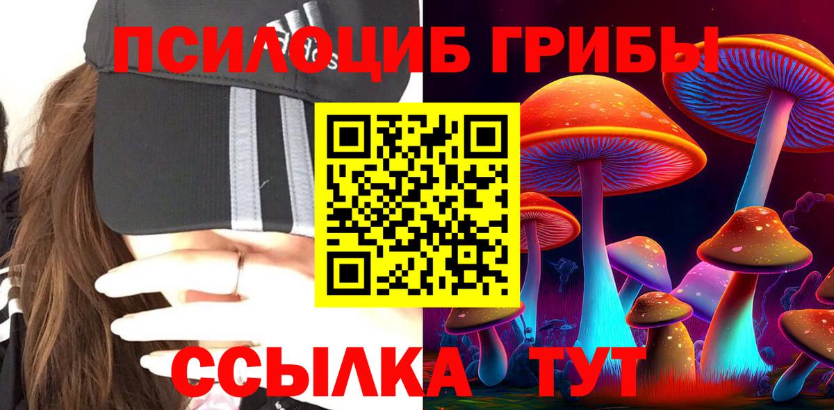 Галлюциногенные грибы мицелий  Волжский  Галлюциногенные грибы Psilocybine cubensis 