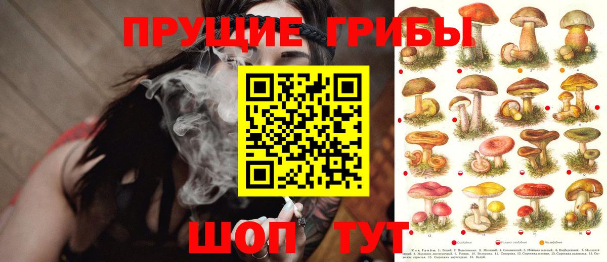 Псилоцибиновые грибы Cubensis  Вход с VPN  Волжский 